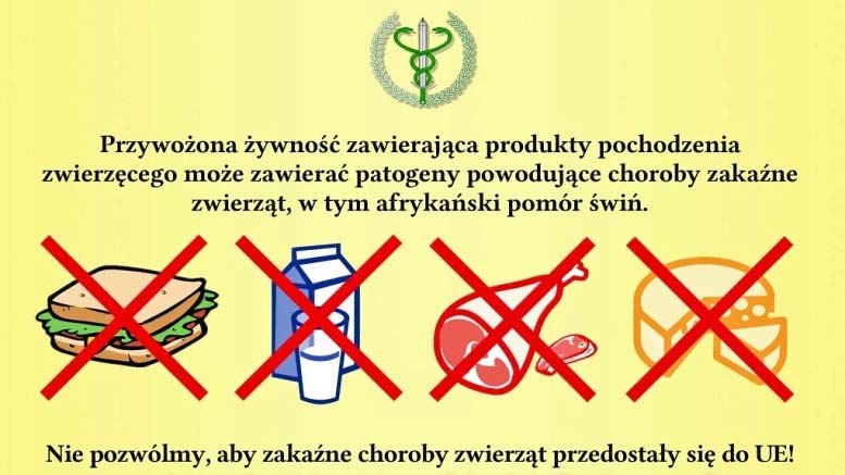 Что нельзя ввозить в страны ЕС, Польша, автомобильные путешествия, Евротур, путешествия по Европе, цены в Польше, еда в Польше, продукты в Польше, отдых в Польше, бензин в Польше, в Польшу на машине, что посмотреть в Кракове, блог о путешествиях, самые интересные блоги, сайт путешественников, сайт туризма, интересные истории, Jepiag, J!EPIAG, VSmthSmb, Valeriia Modenko, travel blog, джепьег, джепьяг, жепьег, жепьяг, 