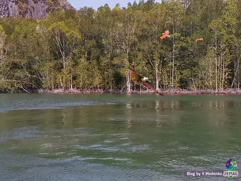 Символ Лангкави Kilim Geopark Langkawi, достопримечательности Лангкави Килим парк, национальный парк Лангкави Валерия Моденко, Valeriia Modenko, jepiag, J!EPIAG (17)