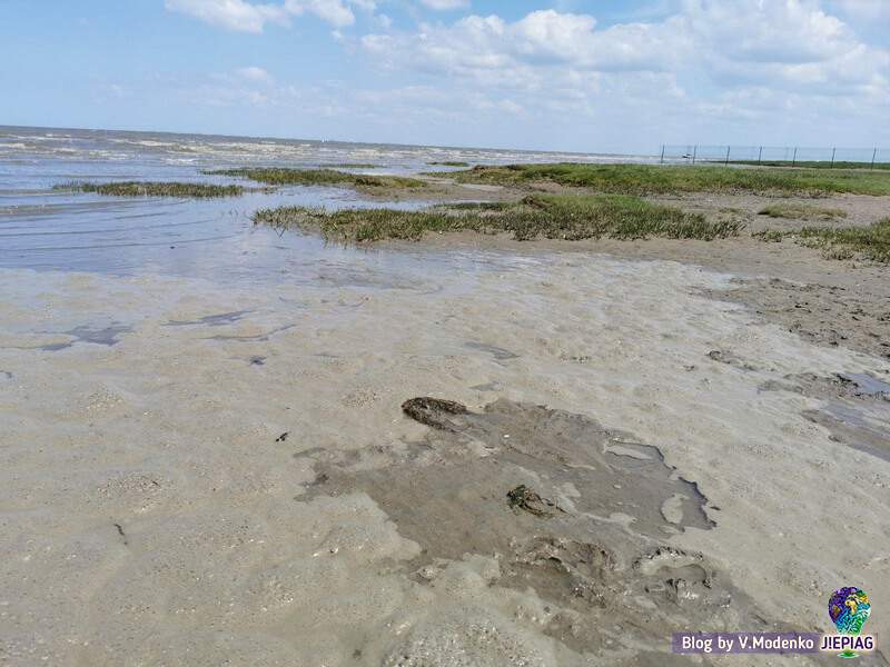 Дангаст Германия, пляж в Дангасте, Ваттовое море, Северное море, Dangast strand, jepiag, Valeriia Modenko, Валерия Моденко (6)