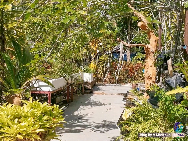 жилье на Лангкави, остров в Малайзии, Langkawi, malaysian island rent, аренда жилья на Лангкави, Валерия Моденко, Valeriia Modenko, jepiag, J!EPIAG (16)