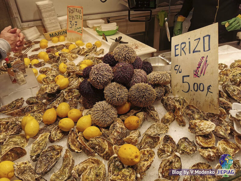 Морской ёж еж boqueria market barcelona, рынок бокерия барселона, рынок морепродуктов барселона, Валерия Моденко, Valeriia Modenko seafood